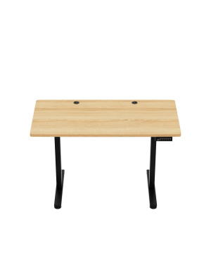 Markadler Leader 6.9 Höhenverstellbarer Schreibtisch