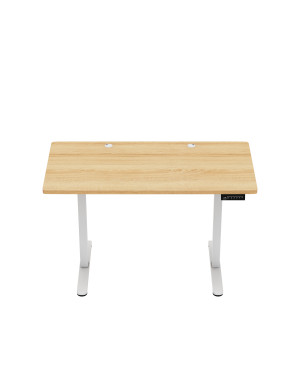 Markadler Leader 6.9 Craft Höhenverstellbarer Schreibtisch