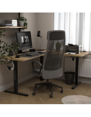 Mark Adler Xeno 7.6 Elektrischer Schreibtischrahmen mit zwei Motoren